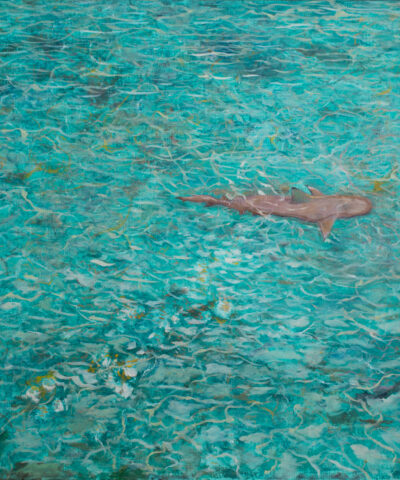 Ocean shark Reef Maldives oil painting artist Albert Safiullin