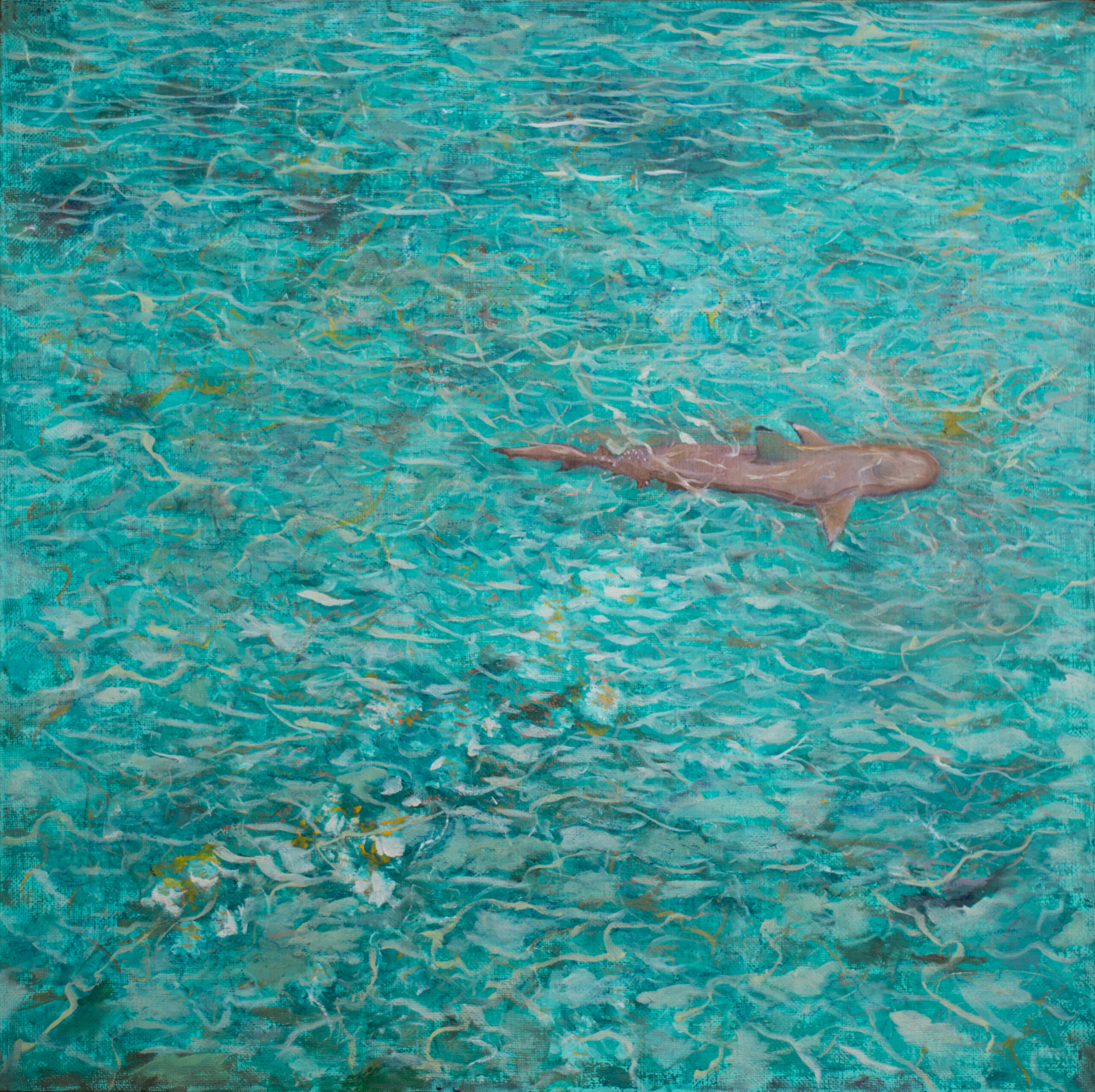 FINAL On the Reef oil painting by Albert Safiullin Ocean shark Reef Maldives oil painting artist Albert Safiullin