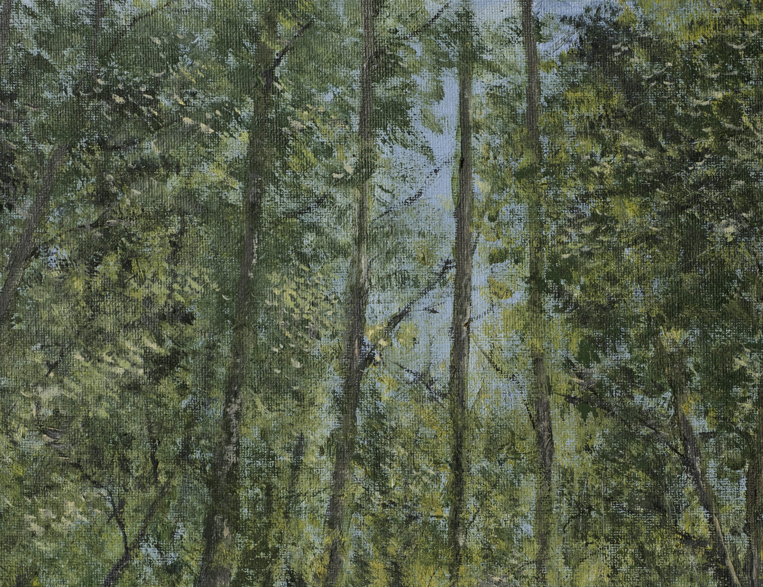 Spring Forest landscape oil painting artist Albert Safiullin