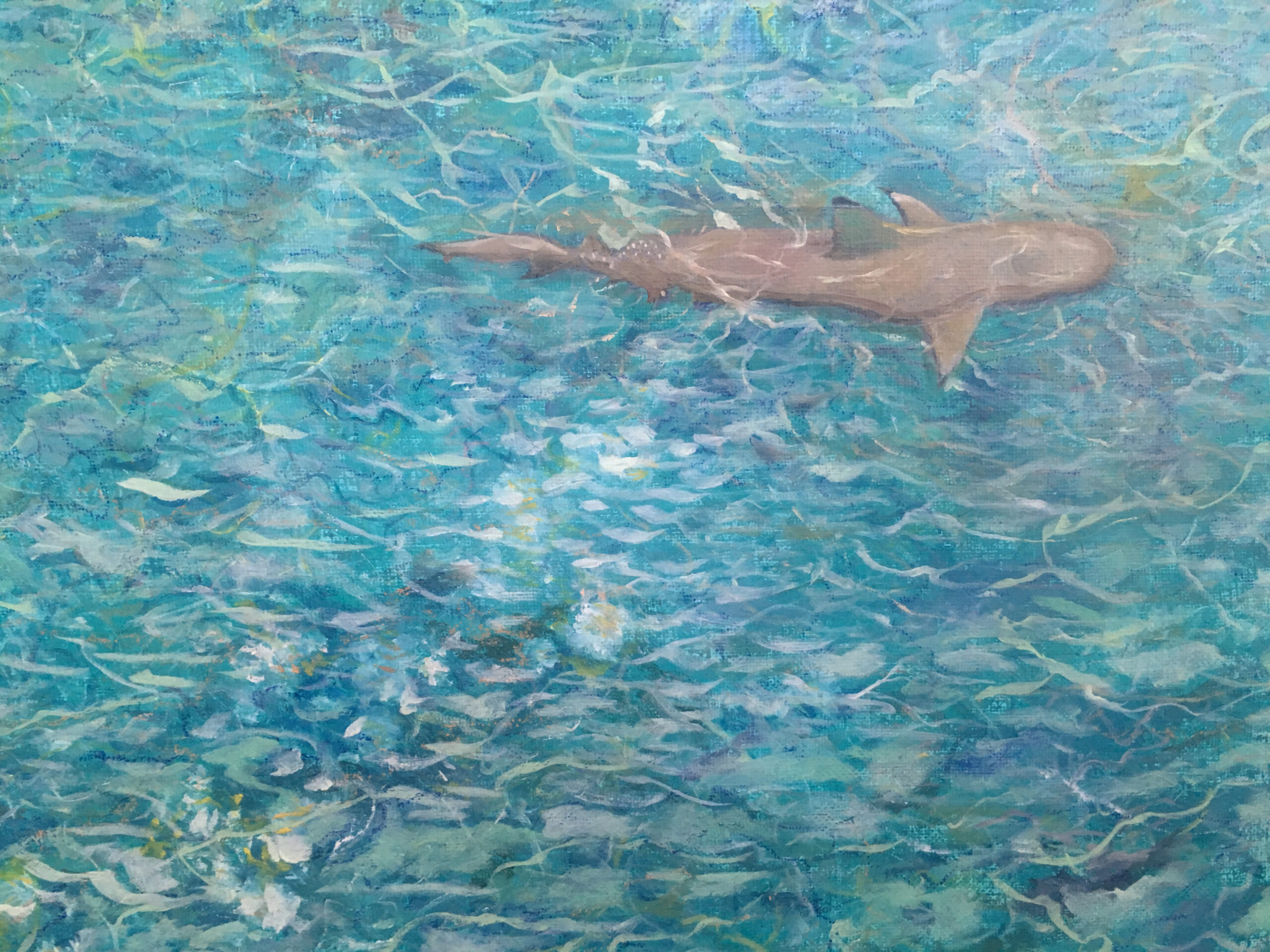 On the Reef oil painting by Albert Safiullin Ocean shark Reef Maldives oil painting artist Albert Safiullin