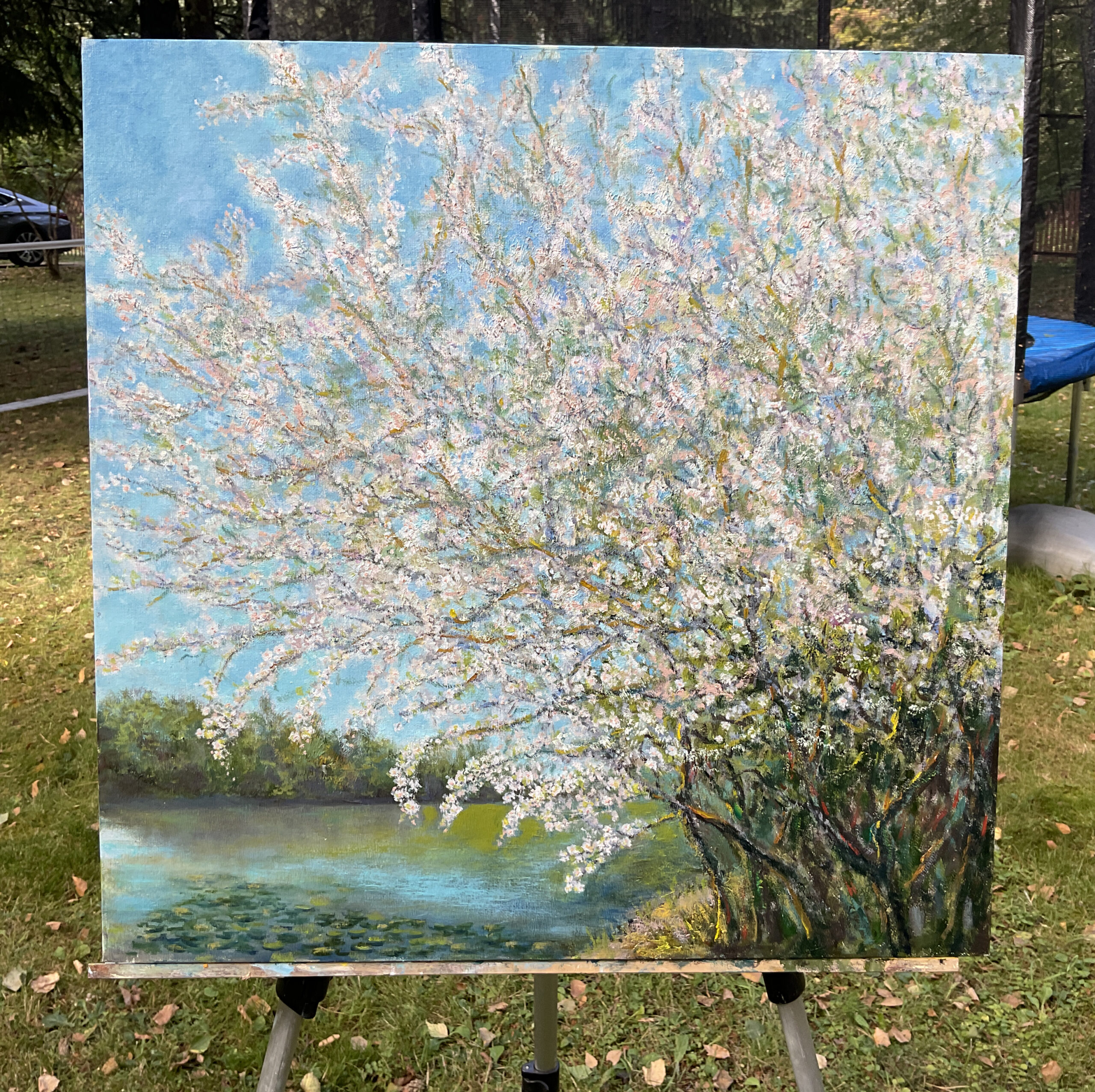 Blooming Cherry Landscape Spring Tree Sky Painting oil Canvas artist Albert Safiullin