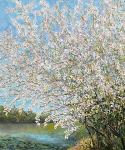 Blooming Cherry Landscape Spring Tree Sky Painting oil Canvas artist Albert Safiullin