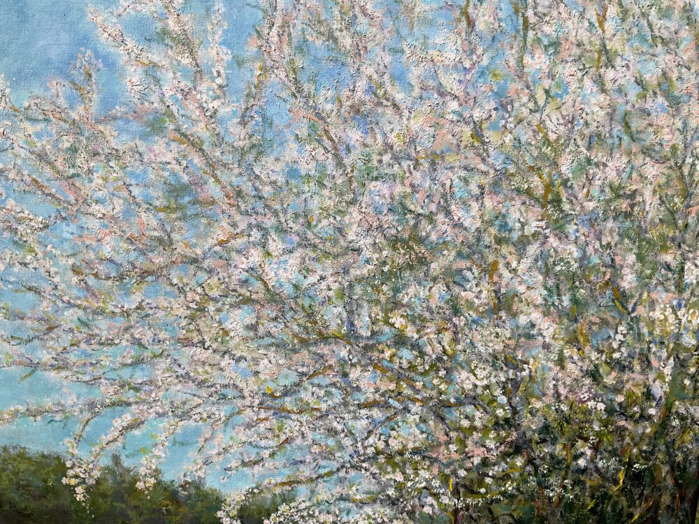 Blooming Cherry Landscape Spring Tree Sky Painting oil Canvas artist Albert Safiullin