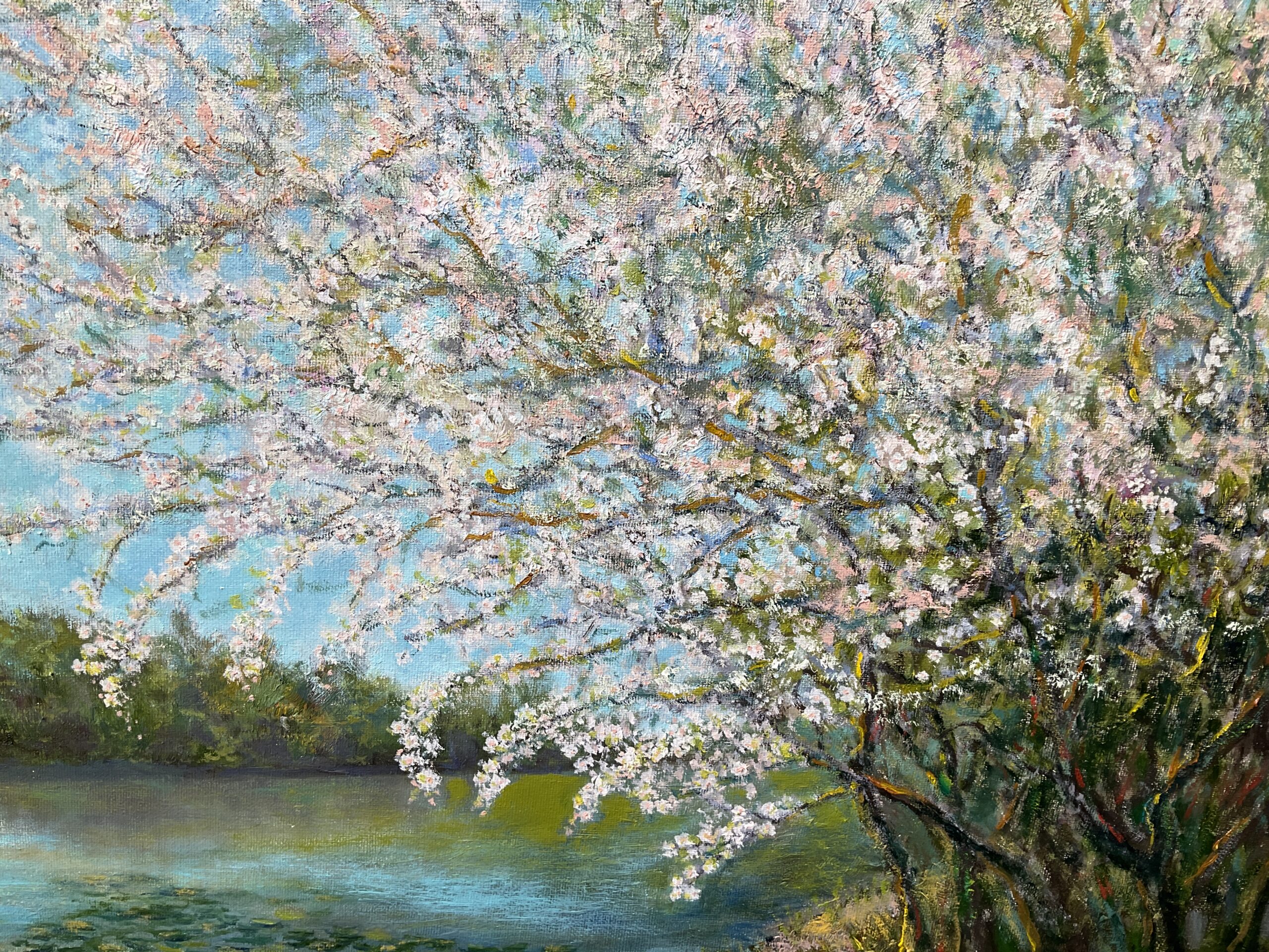 Blooming Cherry Landscape Spring Tree Sky Painting oil Canvas artist Albert Safiullin