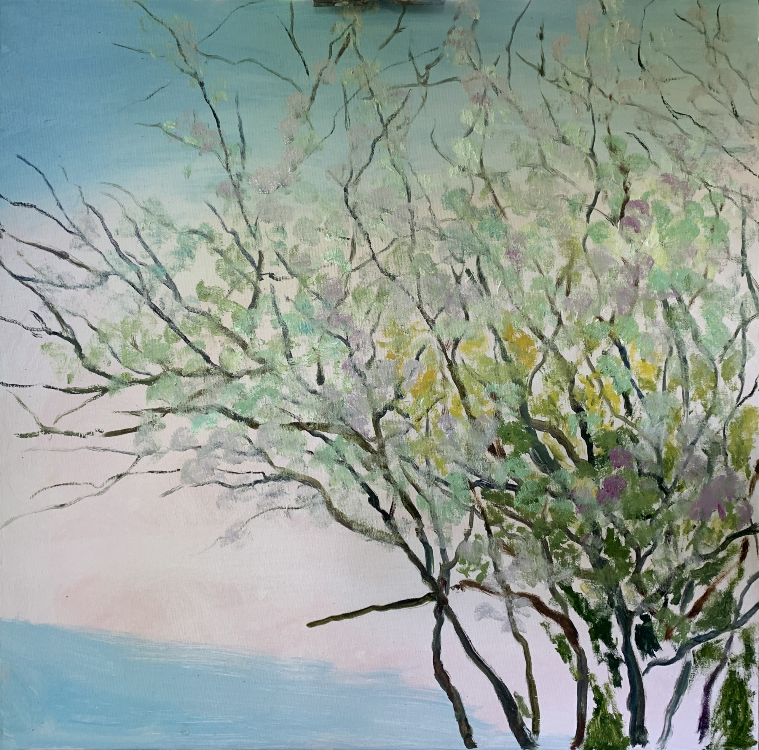 Blooming Cherry Landscape Spring Tree Sky Painting oil Canvas artist Albert Safiullin