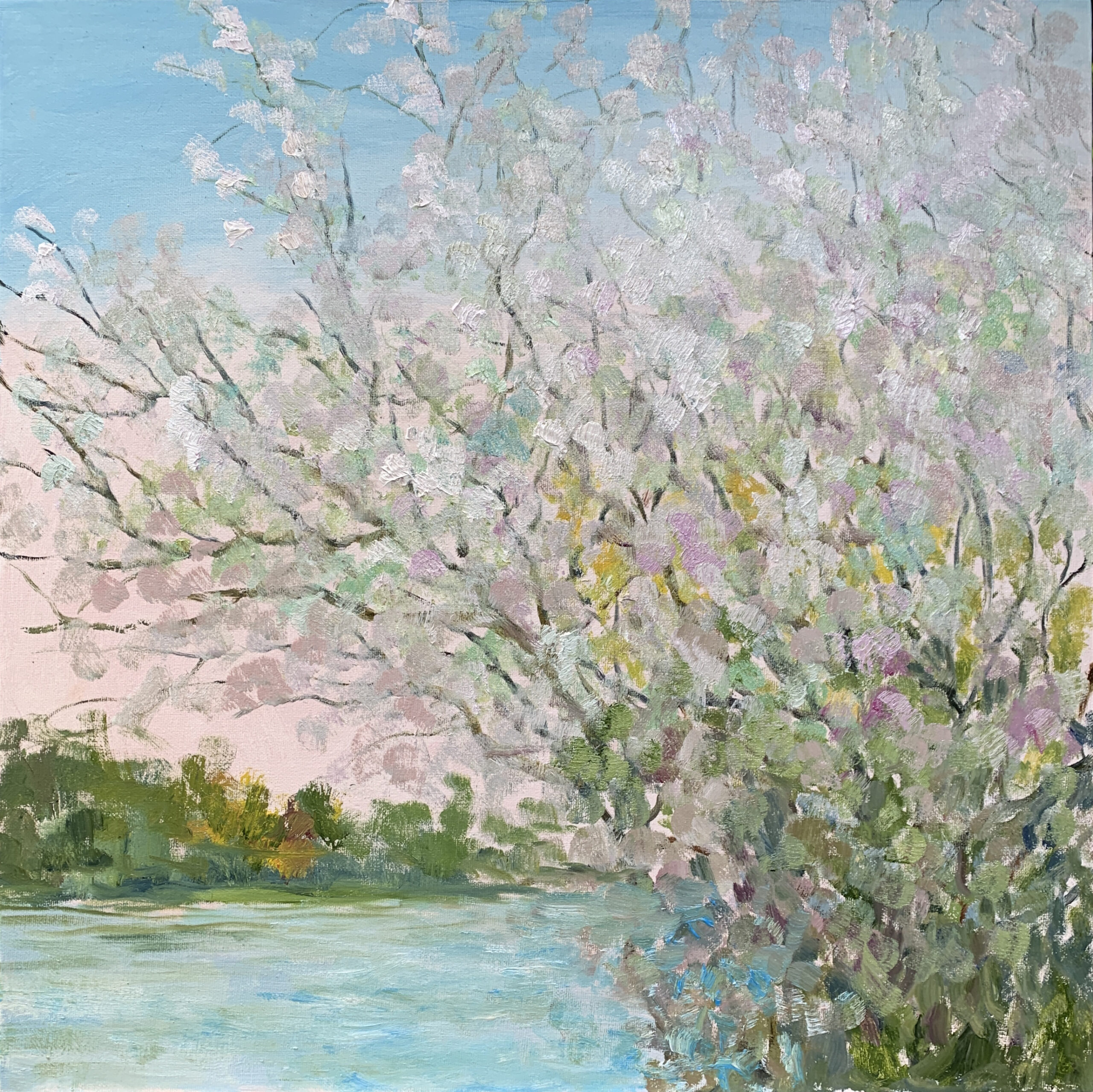 Blooming Cherry Landscape Spring Tree Sky Painting oil Canvas artist Albert Safiullin